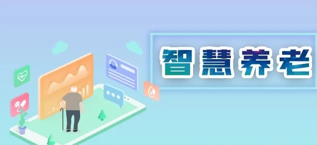 供给侧视域下国内智慧养老产业发展研究