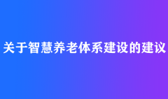 关于智慧养老体系建设的建议